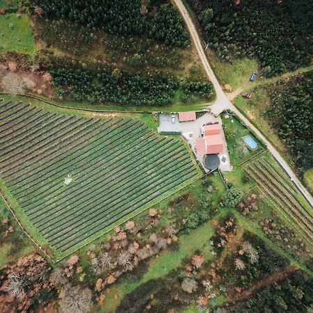세이아 Quinta Vale Salgueiro 아파트 외부 사진
