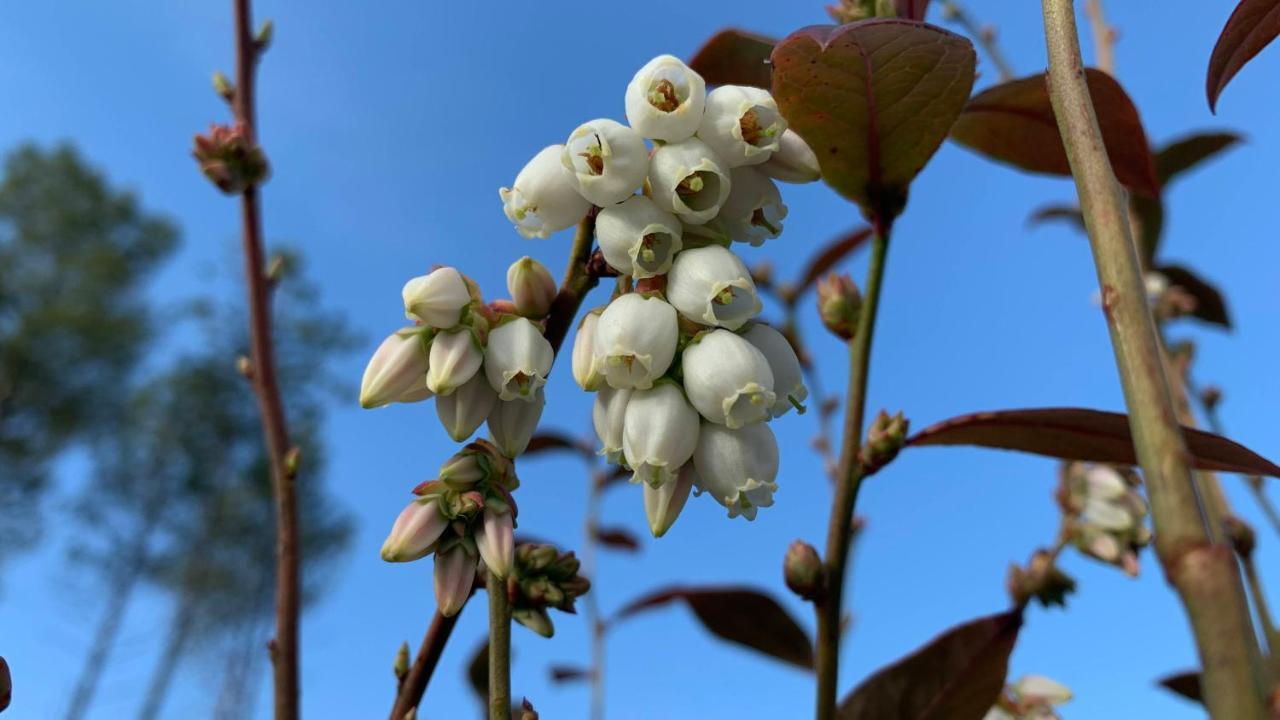 세이아 Quinta Vale Salgueiro 아파트 외부 사진