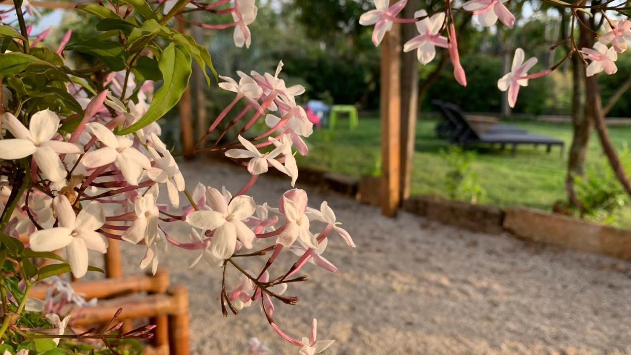 세이아 Quinta Vale Salgueiro 아파트 외부 사진