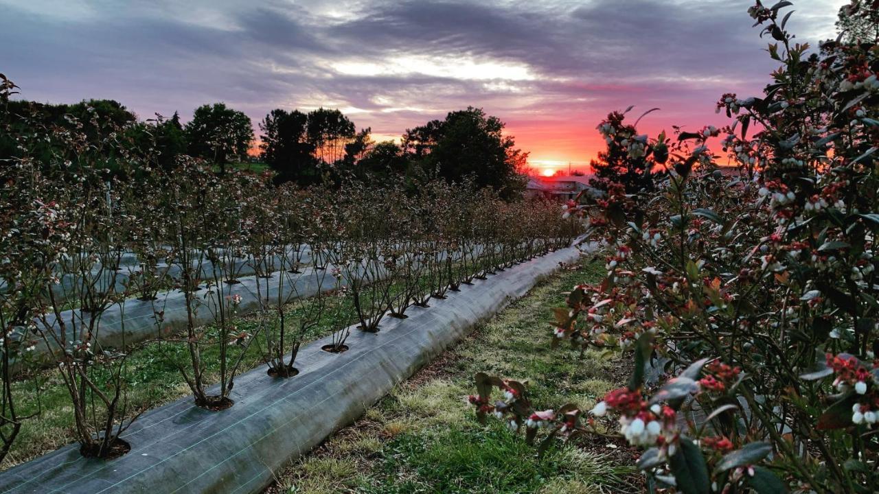 세이아 Quinta Vale Salgueiro 아파트 외부 사진