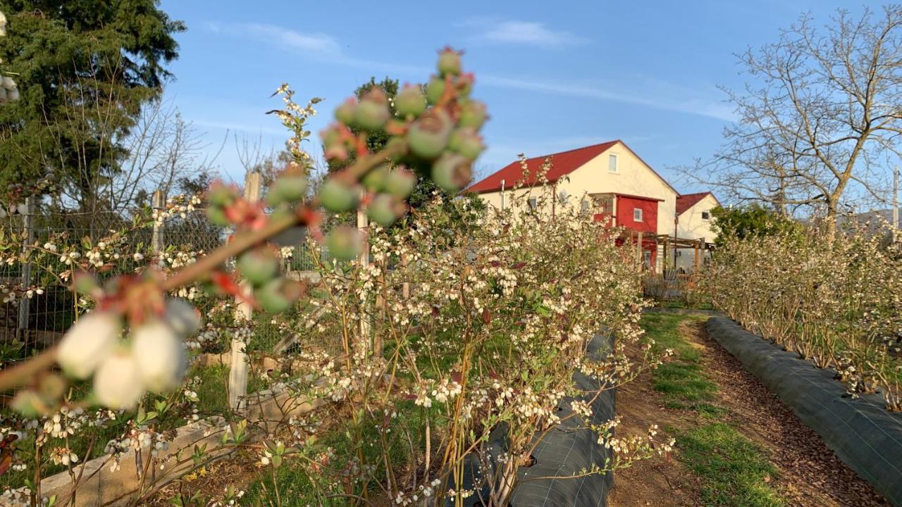 세이아 Quinta Vale Salgueiro 아파트 외부 사진