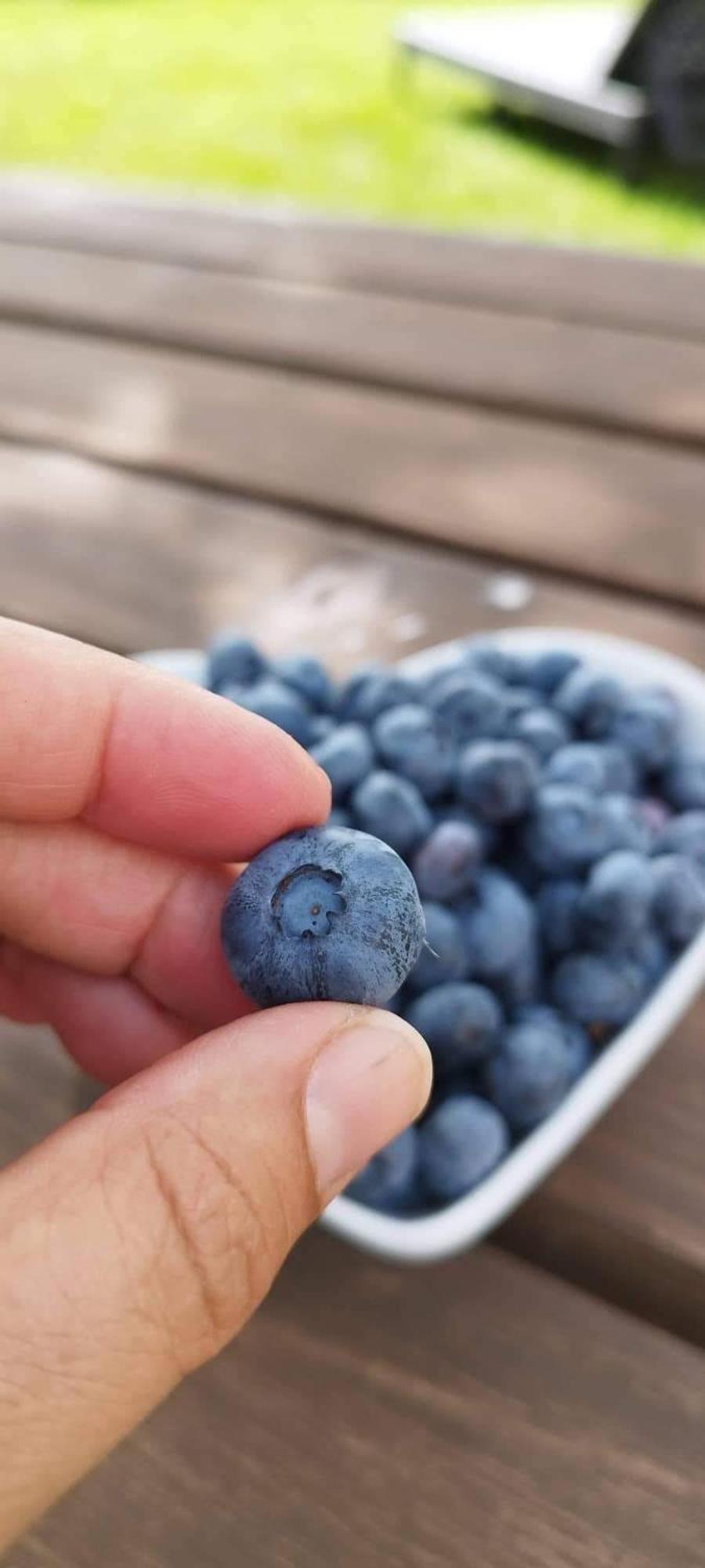 세이아 Quinta Vale Salgueiro 아파트 외부 사진