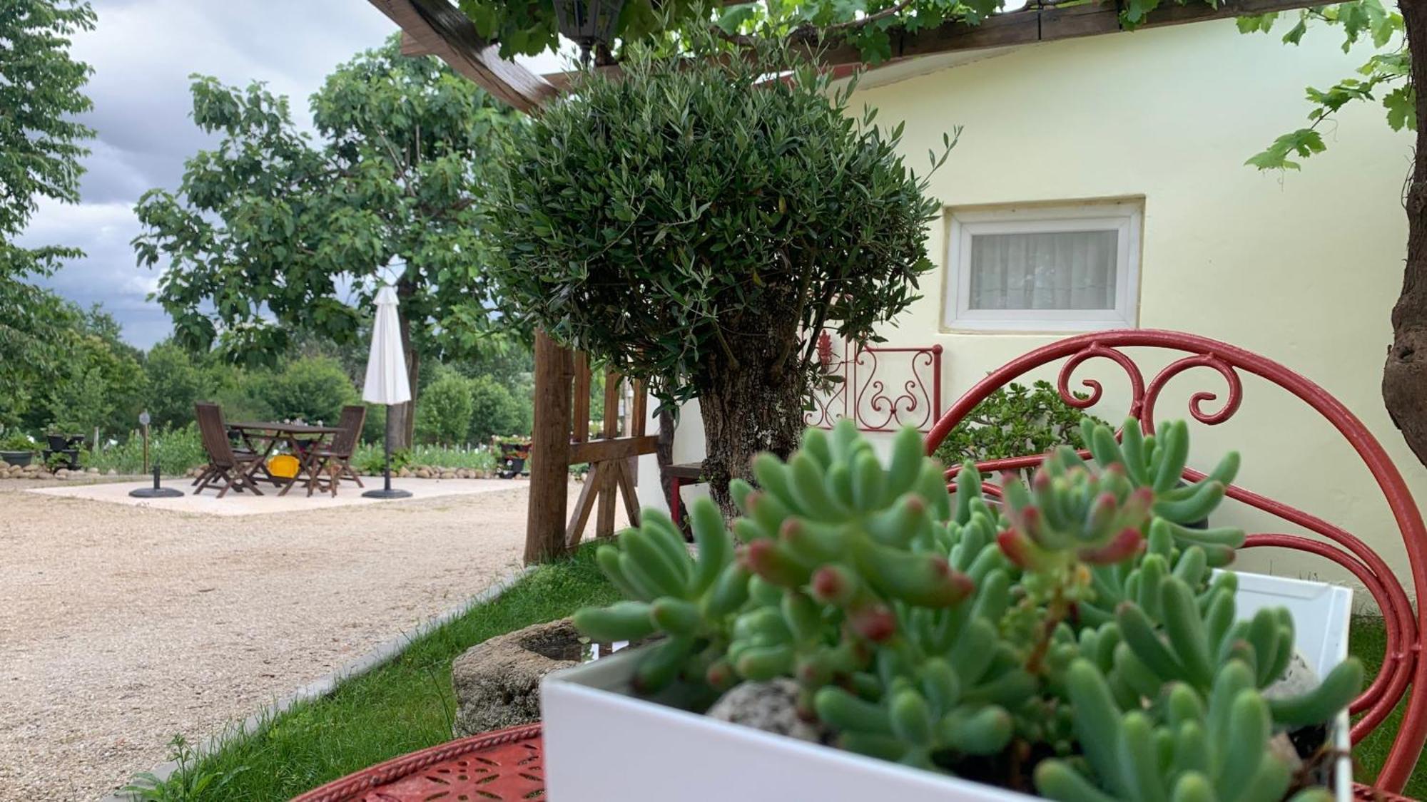 세이아 Quinta Vale Salgueiro 아파트 외부 사진